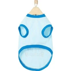 Frisco It's My Birthday & Cat T-Shirt -Frisco Sales Store 249249 PT4. AC SS1800 V1624612661