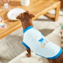 Frisco It's My Birthday & Cat T-Shirt -Frisco Sales Store 249249 PT7. AC SS1800 V1614289318