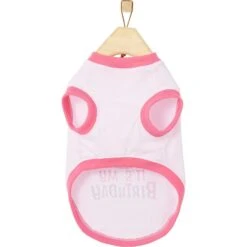 Frisco It's My Birthday Dog & Cat T-Shirt, Pink -Frisco Sales Store 249255 PT3. AC SS1800 V1624614153