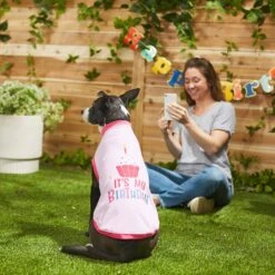 Frisco It's My Birthday Dog & Cat T-Shirt, Pink -Frisco Sales Store 249255 PT7. AC SS1800 V1614289423
