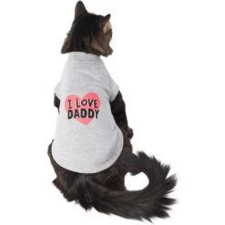 Frisco I Love Daddy Dog & Cat T-Shirt, Gray -Frisco Sales Store 249263 PT2. AC SS1800 V1624616254