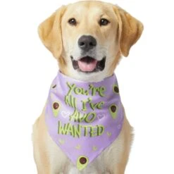 Frisco You're All I've Avo Wanted Dog & Cat Bandana -Frisco Sales Store 249292 PT2. AC SS1800 V1637723806