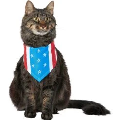 Frisco Stars & Stripes Dog & Cat Bandana -Frisco Sales Store 249329 PT3. AC SS1800 V1632422490