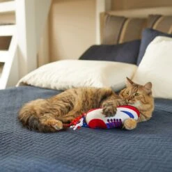 Frisco Baseball Cleat Cat Toy -Frisco Sales Store 252734 PT5. AC SS1800 V1615814504