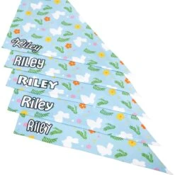 Frisco Easter Bunny Personalized Dog & Cat Bandana -Frisco Sales Store 254211 PT4. AC SS1800 V1618511521