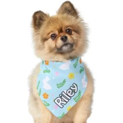Frisco Easter Bunny Personalized Dog & Cat Bandana -Frisco Sales Store 254211 PT6. AC SS1800 V1618509425