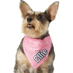 Frisco Polka Dot Personalized Dog & Cat Bandana -Frisco Sales Store 254223 PT6. AC SS1800 V1696432728