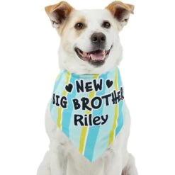 Frisco Big Brother Personalized Dog & Cat Bandana 17 Frisco Big Brother Personalized Dog & Cat Bandana -Frisco Sales Store 254231 PT6. AC SS1800 V1633071398