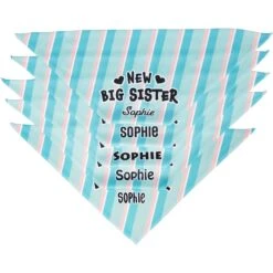 Frisco Big Sister Personalized Dog & Cat Bandana -Frisco Sales Store 254235 PT4. AC SS1800 V1619558530