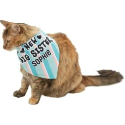 Frisco Big Sister Personalized Dog & Cat Bandana -Frisco Sales Store 254235 PT7. AC SS1800 V1619560404
