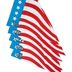 Frisco Americana Personalized Dog & Cat Bandana -Frisco Sales Store 254239 PT4. AC SS1800 V1619558868