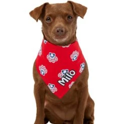 Frisco Patriotic Paws Personalized Dog & Cat Bandana -Frisco Sales Store 254243 PT6. AC SS1800 V1619557657