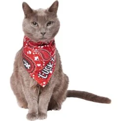 Frisco Paisley Printed Personalized Dog & Cat Bandana 18 Frisco Paisley Printed Personalized Dog & Cat Bandana -Frisco Sales Store 254247 PT7. AC SS1800 V1618508211