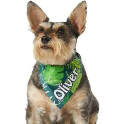Frisco Tropical Palms Personalized Dog & Cat Bandana -Frisco Sales Store 254259 PT6. AC SS1800 V1632425201