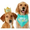 Frisco Happy Birthday Dog & Cat Crown & Frisco Dog & Cat Birthday Bandana -Frisco Sales Store 255523 MAIN. AC SS1800 V1603716093