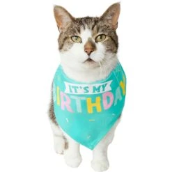 Frisco Happy Birthday Dog & Cat Crown & Frisco Dog & Cat Birthday Bandana -Frisco Sales Store 255523 PT4. AC SS1800 V1603716120