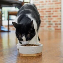 Frisco Oval Meow Non-skid Ceramic Cat Bowl With Wood Base -Frisco Sales Store 256080 PT2. AC SS1800 V1615310782