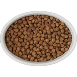 Frisco Oval Meow Non-skid Ceramic Cat Bowl With Wood Base -Frisco Sales Store 256080 PT5. AC SS1800 V1615312016