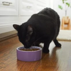 Frisco Kaleidoscope Pattern Non-skid Ceramic Dog & Cat Bowl -Frisco Sales Store 256090 PT2. AC SS1800 V1615311092