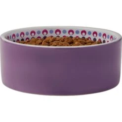 Frisco Kaleidoscope Pattern Non-skid Ceramic Dog & Cat Bowl -Frisco Sales Store 256090 PT3. AC SS1800 V1615311698