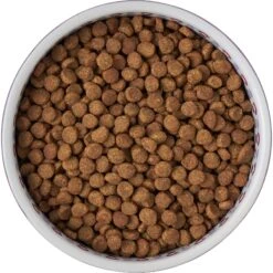 Frisco Kaleidoscope Pattern Non-skid Ceramic Dog & Cat Bowl -Frisco Sales Store 256090 PT5. AC SS1800 V1615312887