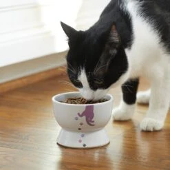 Frisco Cat Print Non-skid Elevated Ceramic Cat Bowl, Short -Frisco Sales Store 256096 PT2. AC SS1800 V1616522571