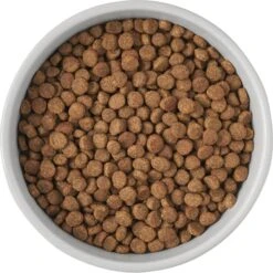 Frisco Cat Print Non-Skid Elevated Ceramic Cat Bowl, Tall -Frisco Sales Store 256099 PT4. AC SS1800 V1616522538