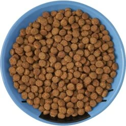 Frisco Cat Face Non-skid Ceramic Cat Dish, Blue 13 Frisco Cat Face Non-skid Ceramic Cat Dish, Blue -Frisco Sales Store 256101 PT5. AC SS1800 V1615321282