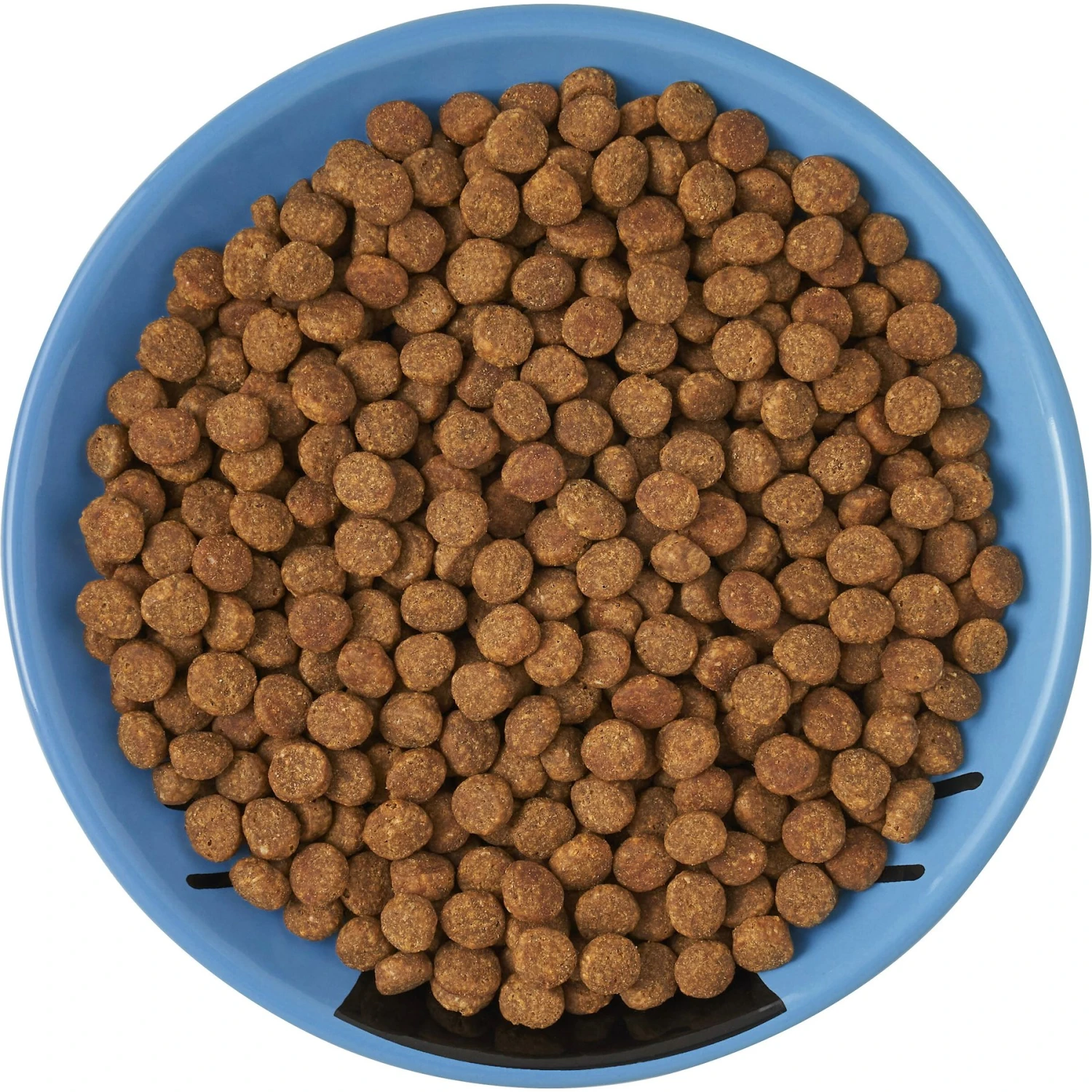 Frisco Cat Face Non-skid Ceramic Cat Dish, Blue 8 Frisco Cat Face Non-skid Ceramic Cat Dish, Blue - Image 6