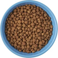 Frisco Cat Face Non-skid Ceramic Cat Bowl, Blue -Frisco Sales Store 256103 PT5. AC SS1800 V1615312900