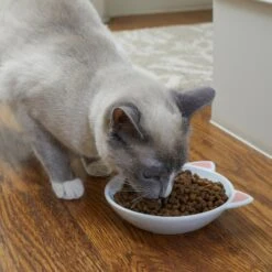 Frisco Cat Face Non-skid Ceramic Cat Dish -Frisco Sales Store 256105 PT2. AC SS1800 V1615310882