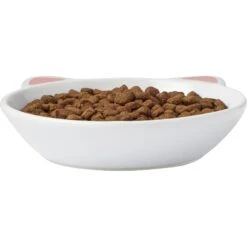 Frisco Cat Face Non-skid Ceramic Cat Dish -Frisco Sales Store 256105 PT3. AC SS1800 V1615321286