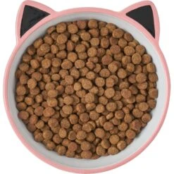 Frisco Cat Face Non-skid Ceramic Cat Bowl, Pink 11 Frisco Cat Face Non-skid Ceramic Cat Bowl, Pink -Frisco Sales Store 256107 PT5. AC SS1800 V1616522494