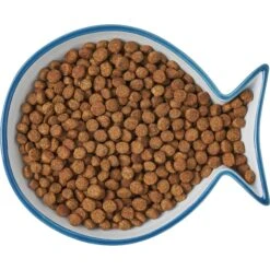 Frisco Fish Shaped Non-skid Ceramic Cat Dish -Frisco Sales Store 256109 PT6. AC SS1800 V1617196895