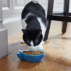 Frisco Fish Shaped Non-skid Ceramic Cat Bowl -Frisco Sales Store 256111 PT6. AC SS1800 V1617037703