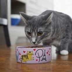 Frisco Paris Non-skid Ceramic Cat Dish 10 Frisco Paris Non-skid Ceramic Cat Dish -Frisco Sales Store 256117 PT2. AC SS1800 V1615311397