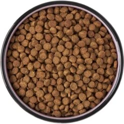 Frisco Paris Non-skid Ceramic Cat Dish 13 Frisco Paris Non-skid Ceramic Cat Dish -Frisco Sales Store 256117 PT5. AC SS1800 V1615311392