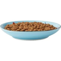 Frisco New York Non-skid Ceramic Cat Dish -Frisco Sales Store 256119 PT5. AC SS1800 V1618494742