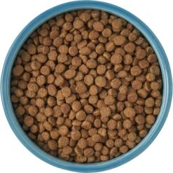 Frisco New York Non-skid Ceramic Cat Bowl -Frisco Sales Store 256121 PT5. AC SS1800 V1615311387