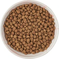 Frisco Marble Design Non-skid Ceramic Cat Bowl 12 Frisco Marble Design Non-skid Ceramic Cat Bowl -Frisco Sales Store 256125 PT5. AC SS1800 V1615311382