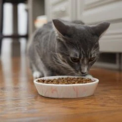 Frisco Marble Design Non-skid Ceramic Cat Bowl 13 Frisco Marble Design Non-skid Ceramic Cat Bowl -Frisco Sales Store 256125 PT6. AC SS1800 V1617037714