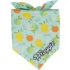 Frisco Citrus Personalized Dog & Cat Bandana -Frisco Sales Store 258758 MAIN. AC SS1800 V1619558872