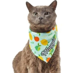 Frisco Citrus Personalized Dog & Cat Bandana -Frisco Sales Store 258758 PT7. AC SS1800 V1619560408