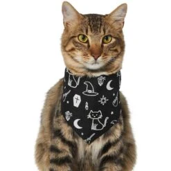 Frisco Glow In The Dark Mystical Print Dog & Cat Bandana 13 Frisco Glow In The Dark Mystical Print Dog & Cat Bandana -Frisco Sales Store 261218 PT2. AC SS1800 V1633086982