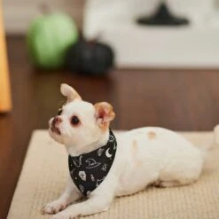 Frisco Glow In The Dark Mystical Print Dog & Cat Bandana 16 Frisco Glow In The Dark Mystical Print Dog & Cat Bandana -Frisco Sales Store 261218 PT5. AC SS1800 V1633057869