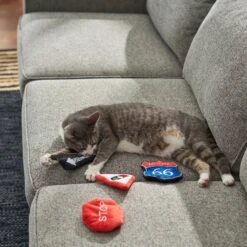 Frisco Road Trip Traffic Signs Plush Cat Toy With Catnip 7 Frisco Road Trip Traffic Signs Plush Cat Toy With Catnip -Frisco Sales Store 262024 PT3. AC SS1800 V1618598335