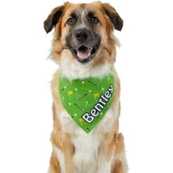 Frisco Golf Personalized Dog & Cat Bandana -Frisco Sales Store 263017 PT6. AC SS1800 V1619557636