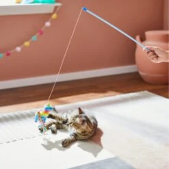 Frisco Pinata Teaser Wand Cat Toy With Catnip -Frisco Sales Store 264446 PT3. AC SS1800 V1618948636
