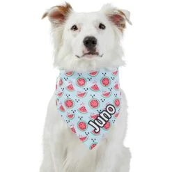 Frisco Watermelons Personalized Dog & Cat Bandana 17 Frisco Watermelons Personalized Dog & Cat Bandana -Frisco Sales Store 267458 PT6. AC SS1800 V1632432415