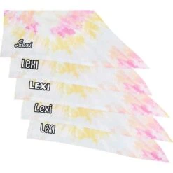 Frisco Tiedye Personalized Dog & Cat Bandana 15 Frisco Tiedye Personalized Dog & Cat Bandana -Frisco Sales Store 267482 PT4. AC SS1800 V1632416499
